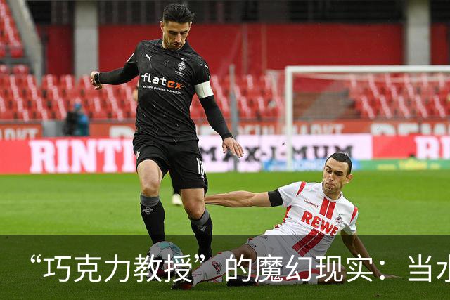 “巧克力教授”的魔幻现实：当水硕站上985讲台，教天才们打拳