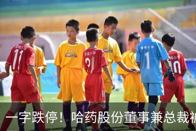 一字跌停！哈药股份董事兼总裁被立案留置