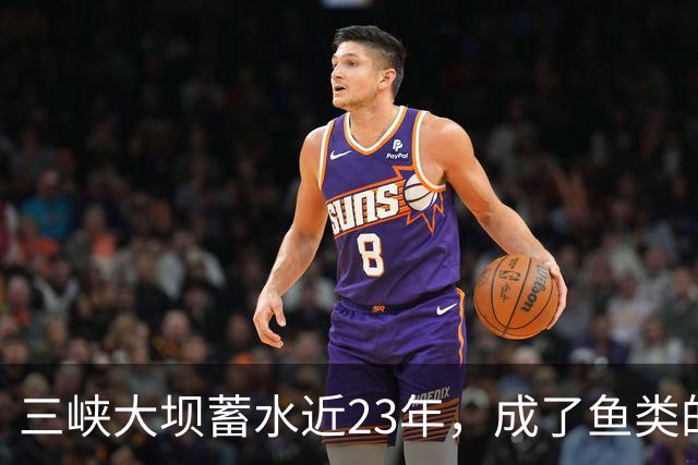 三峡大坝蓄水近23年，成了鱼类的天堂，如今库区最大鱼有多大？