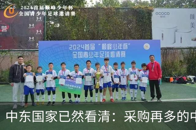 中东国家已然看清：采购再多的中国先进武器，也难以换来长久安全