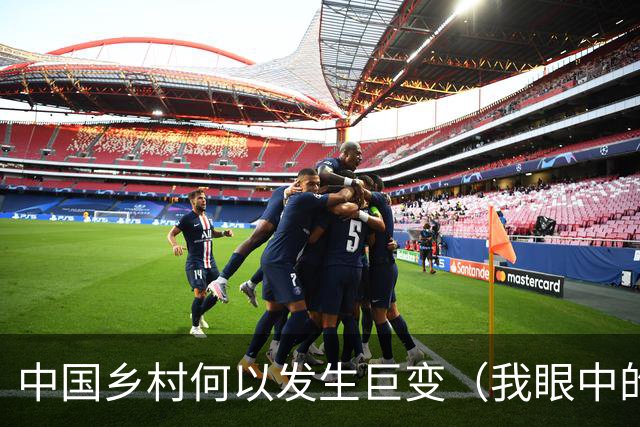 中国乡村何以发生巨变（我眼中的中国）