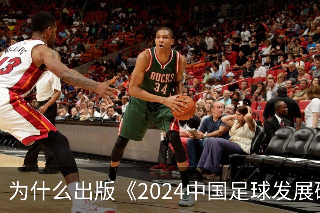 为什么出版《2024中国足球发展研讨会白皮书》？