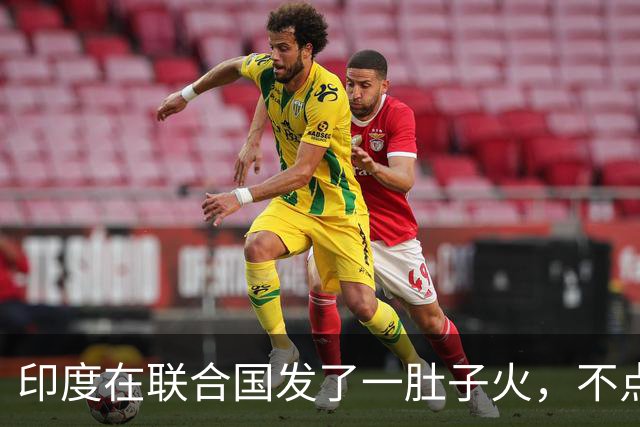 印度在联合国发了一肚子火，不点名怒斥美俄，替中国等国说出心声