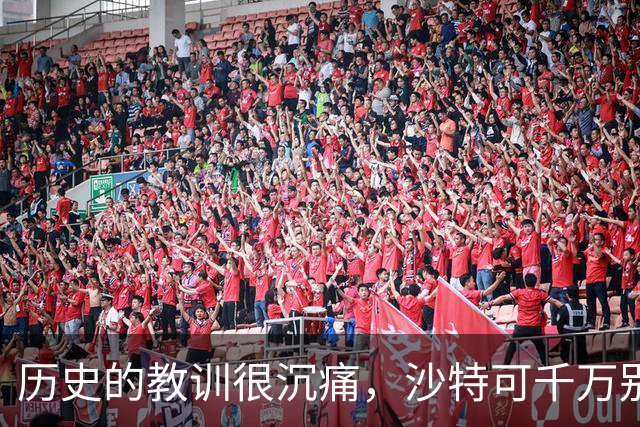 历史的教训很沉痛，沙特可千万别想不开，中国的建议对他们最有利