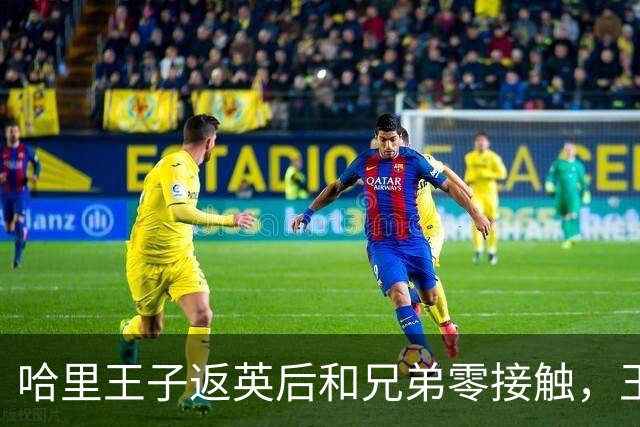 哈里王子返英后和兄弟零接触，王室内部：他们的关系冷到冰点