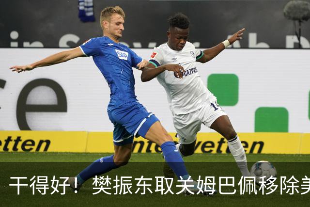 干得好！樊振东取关姆巴佩移除美凌格，立场写在简介里一目了然