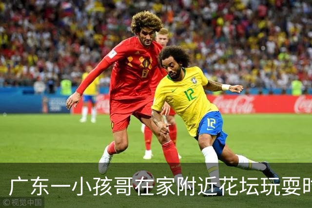 广东一小孩哥在家附近花坛玩耍时意外发现两枚恐龙蛋化石，并上交博物馆；当地恐龙研究所表示将对这两枚恐龙蛋化石进行产地复核和科研考究