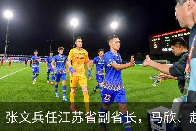 张文兵任江苏省副省长，马欣、赵岩辞去原职