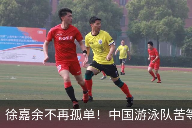 徐嘉余不再孤单！中国游泳队苦等多年的“乙鱼”，终于出现了！