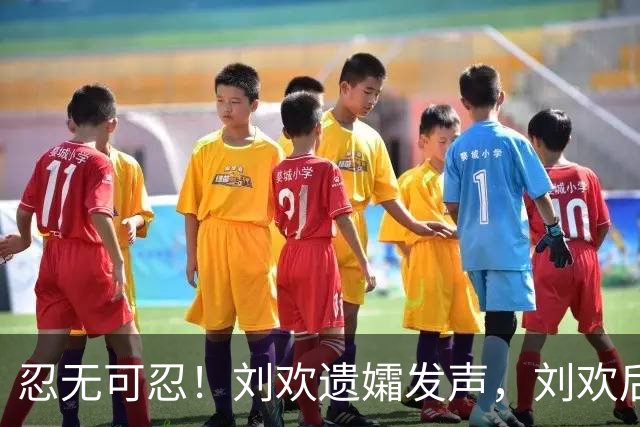 忍无可忍！刘欢遗孀发声，刘欢后事安排曝光，原来很多人都猜错了