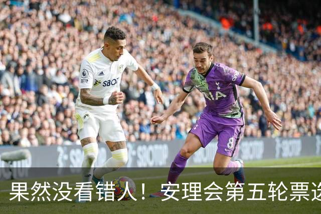 果然没看错人！安理会第五轮票选结果出，中国支持的候选人冲到第一