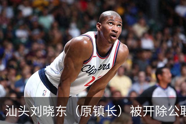 汕头刘晓东（原镇长）被开除公职、党籍！