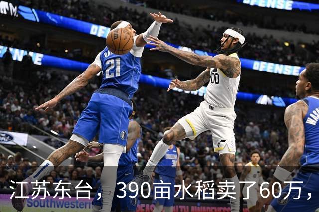 江苏东台，390亩水稻卖了60万，农户：成本49万，纯利润11万