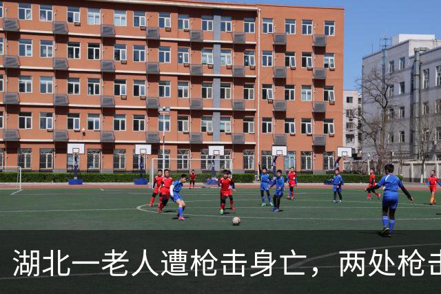 湖北一老人遭枪击身亡，两处枪击贯穿伤，嫌疑人却主动报警自首？