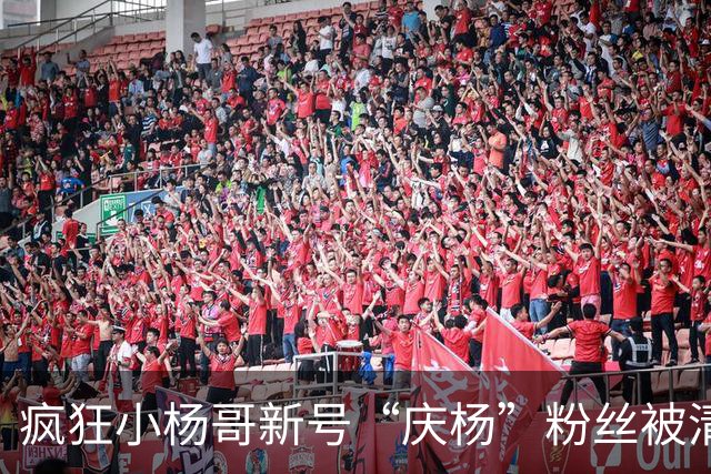 疯狂小杨哥新号“庆杨”粉丝被清零