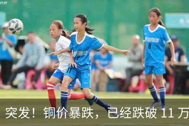 突发！铜价暴跌，已经跌破 11 万关口！