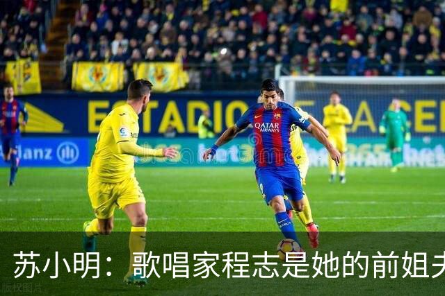 苏小明：歌唱家程志是她的前姐夫，她离婚又再婚
