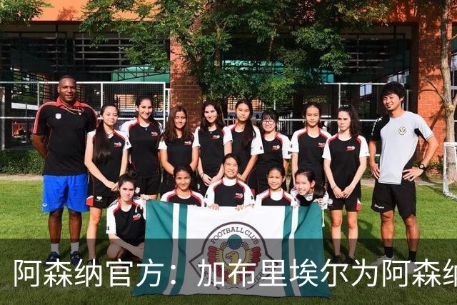 阿森纳官方：加布里埃尔为阿森纳完成200场英超出场