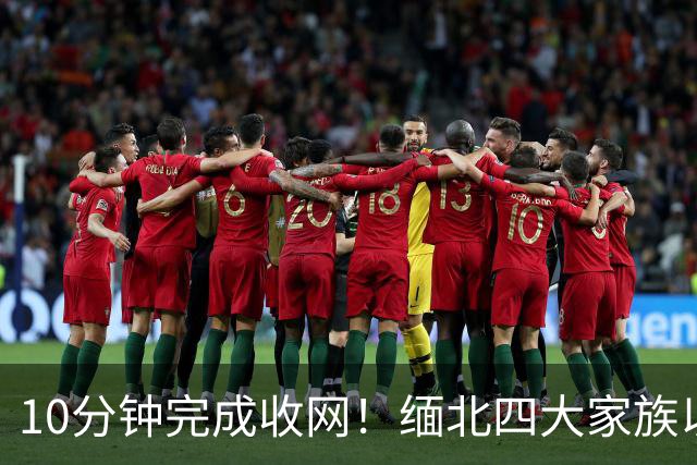 10分钟完成收网！缅北四大家族以为中方来谈条件，等来了一脚破门