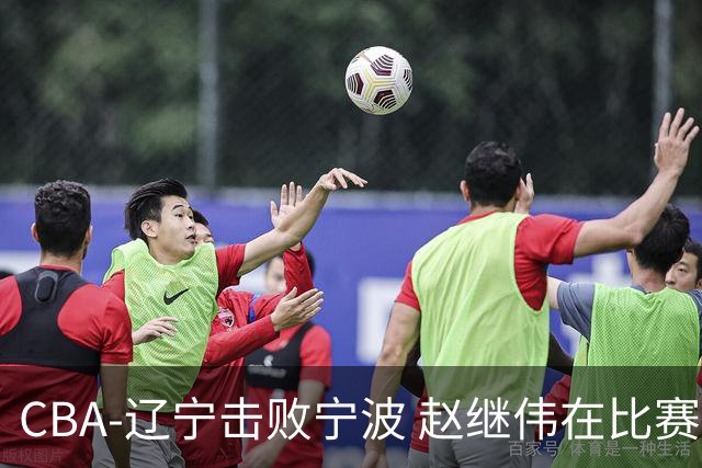 CBA-辽宁击败宁波 赵继伟在比赛中