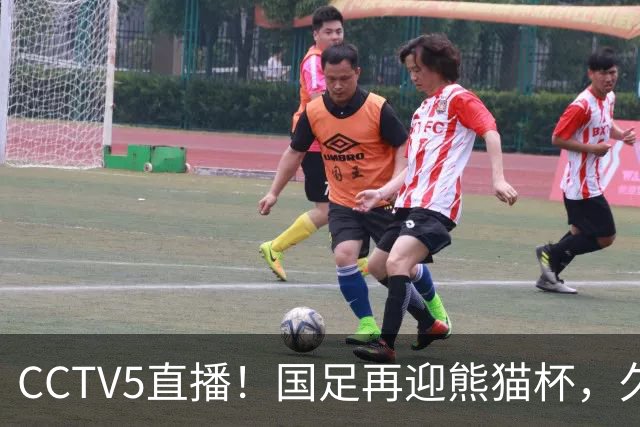 CCTV5直播！国足再迎熊猫杯，久尔杰维奇带队战劲旅，目标=时隔8年再度夺冠